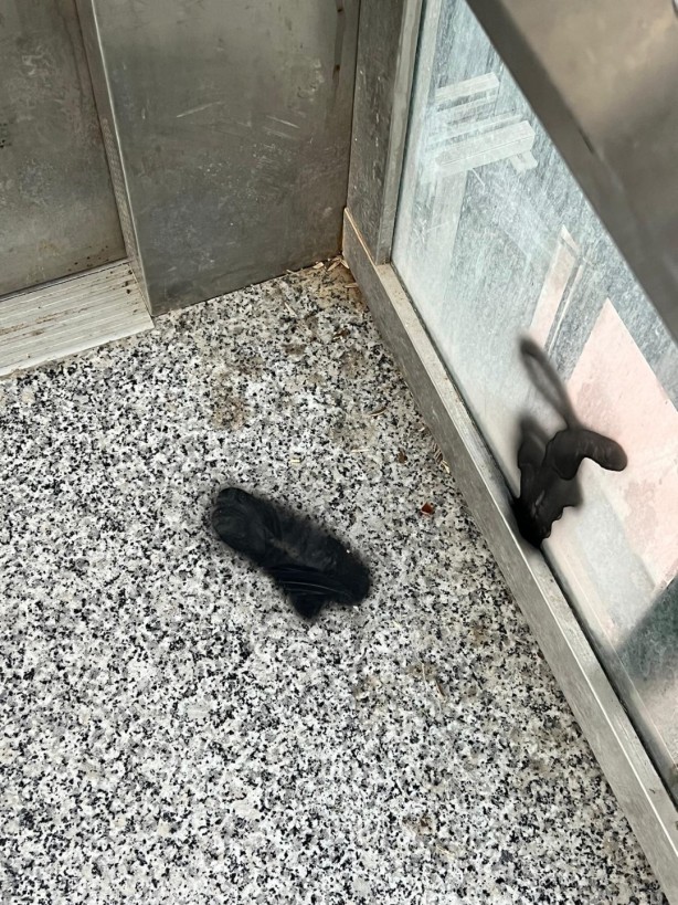 Foto - İğrenç alışkanlık yine hortladı! Şehidin adını taşıyan yere neler yaptılar neler