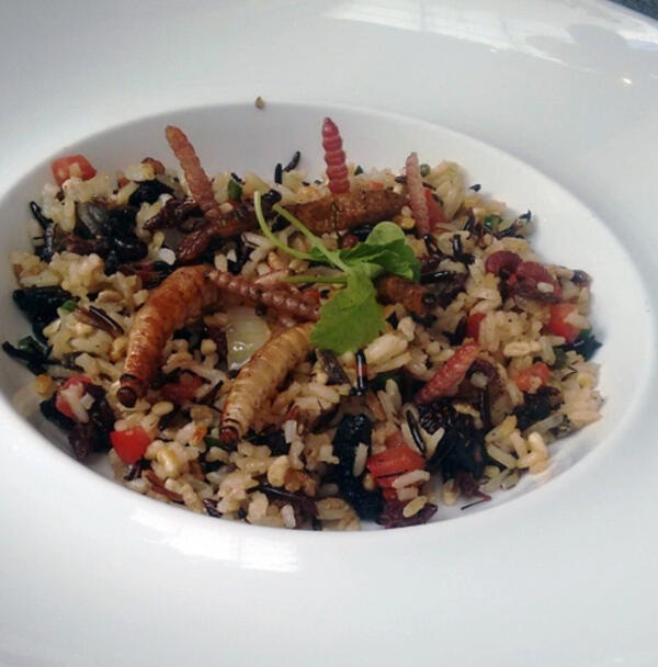 Foto - İğrenç iddia: 2030'da insanlık bunları yiyecek