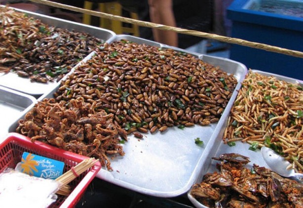 Foto - İğrenç iddia: 2030'da insanlık bunları yiyecek