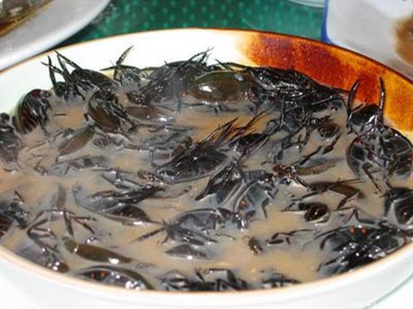 Foto - İğrenç iddia: 2030'da insanlık bunları yiyecek