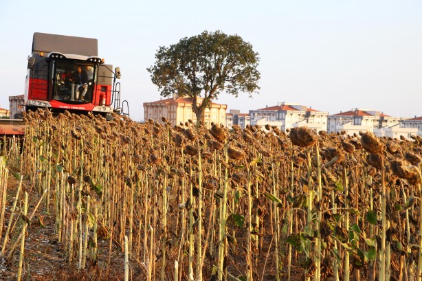 Foto - İHA ve SİHA'dan sonra müthiş başarı! Tüm Türkiye'yi besleyecek