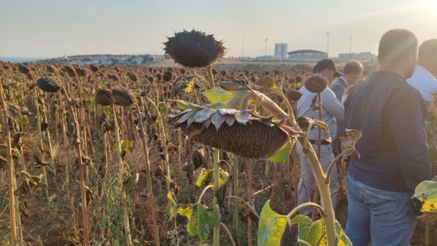 Foto - İHA ve SİHA'dan sonra müthiş başarı! Tüm Türkiye'yi besleyecek