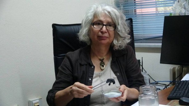 Foto - Uzmanlar, o ilçede 9 gündür haldır haldır çalışıyor! Sebebi şoke etti! İhbar üzerine gitmişlerdi