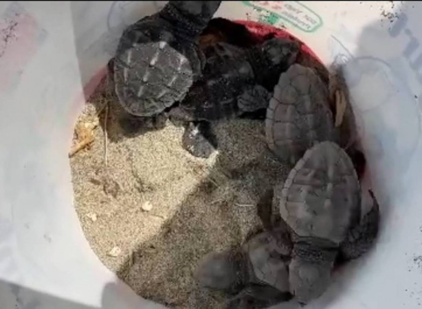 Foto - Uzmanlar, o ilçede 9 gündür haldır haldır çalışıyor! Sebebi şoke etti! İhbar üzerine gitmişlerdi