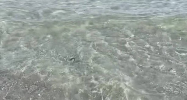Foto - Uzmanlar, o ilçede 9 gündür haldır haldır çalışıyor! Sebebi şoke etti! İhbar üzerine gitmişlerdi