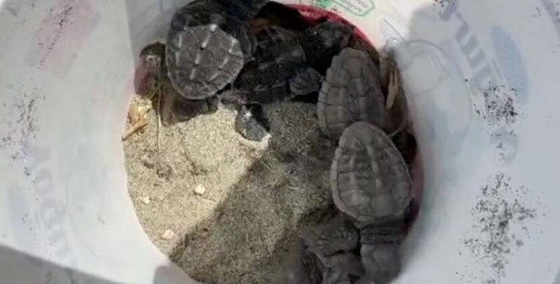Foto - Uzmanlar, o ilçede 9 gündür haldır haldır çalışıyor! Sebebi şoke etti! İhbar üzerine gitmişlerdi