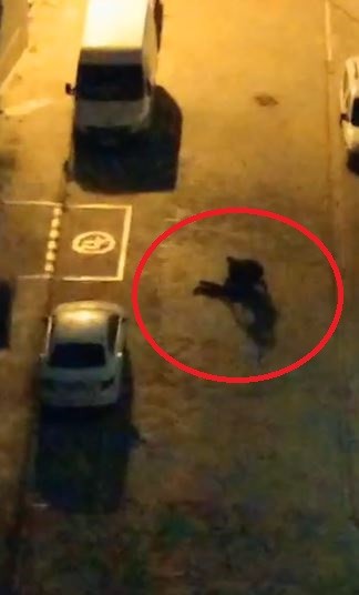 Foto - İhbara giden 112 ekibi bıçaklı saldırıya uğradı!