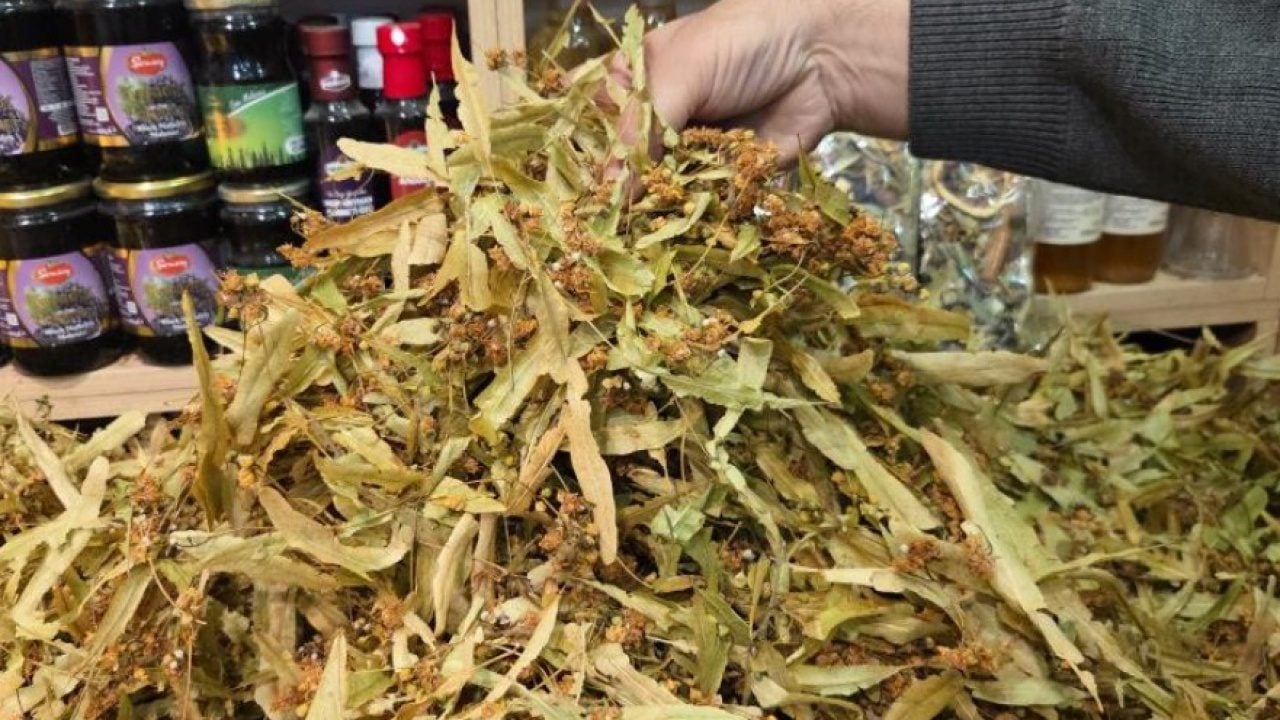 Foto - Ihlamurda bolluk bereketi! Fiyatı yıllar sonra düşüşe geçti