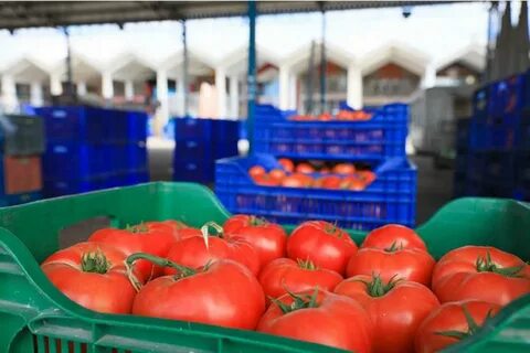 Foto - İhracatın kralı domates ve biber oldu! Hepsi geride kaldı