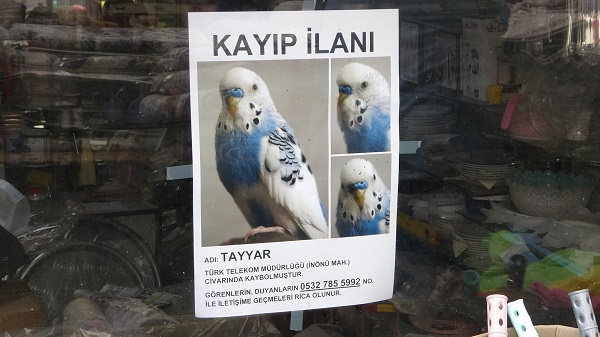 Foto - İki aydır her yerde aranıyor! 