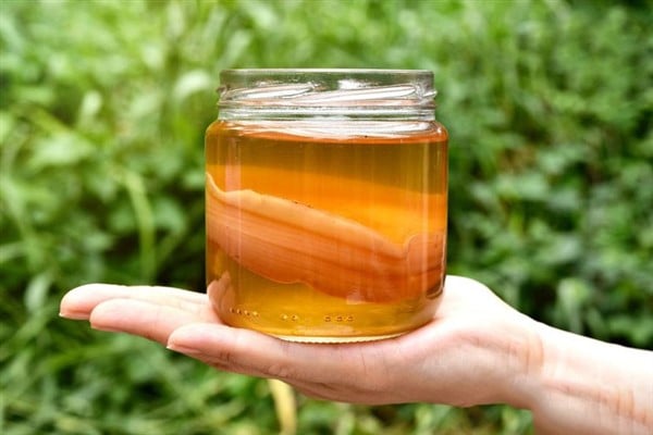 Foto - İki bin senelik ebedilik tarif! Binbir derde deva Kombu çayı: Çinlilerin sırrı sadece onda gizli, hiç kimse bilmiyor