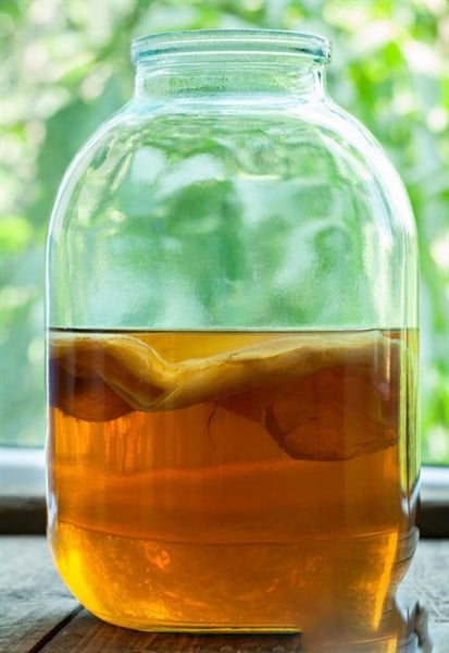 Foto - İki bin senelik ebedilik tarif! Binbir derde deva Kombu çayı: Çinlilerin sırrı sadece onda gizli, hiç kimse bilmiyor