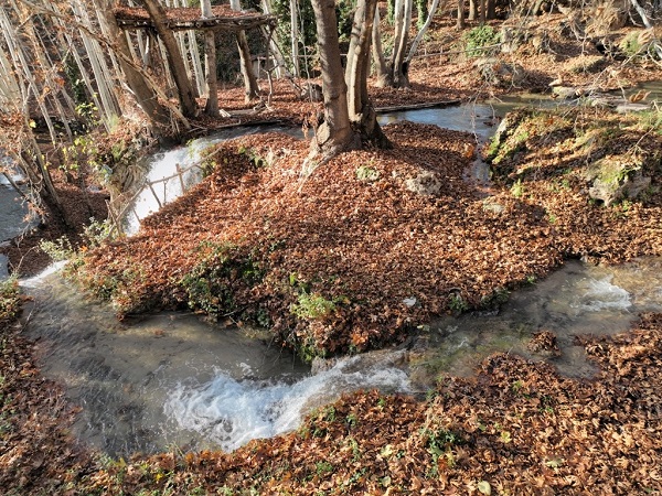 Foto - İki dağ arasındaki şölen: Yardere