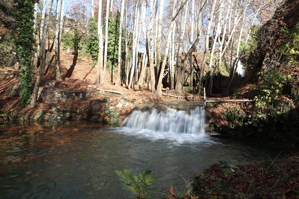 Foto - İki dağ arasındaki şölen: Yardere