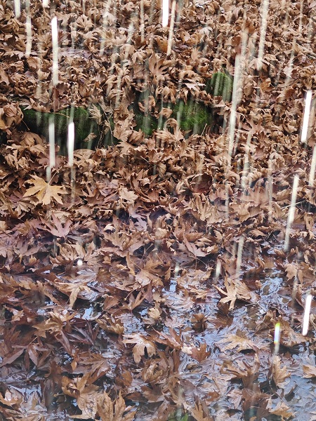 Foto - İki dağ arasındaki şölen: Yardere