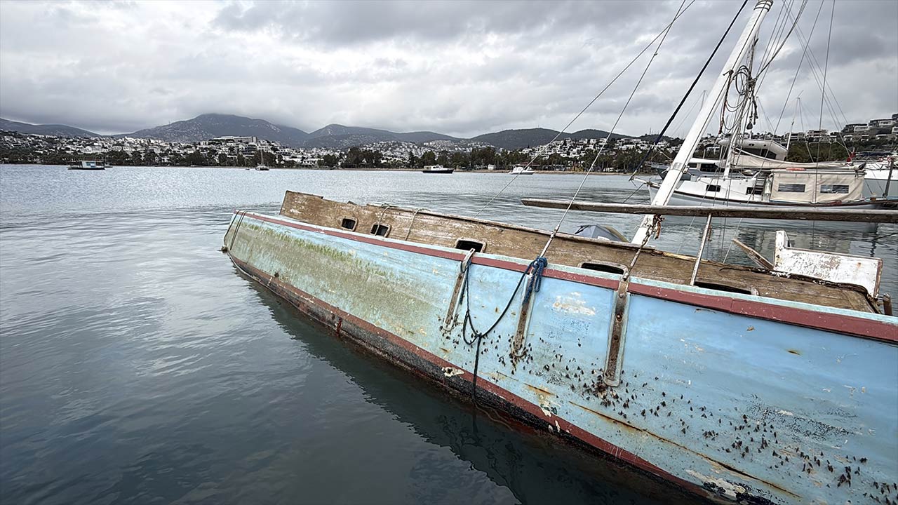 İki ilde rüzgar hayatı felç etti