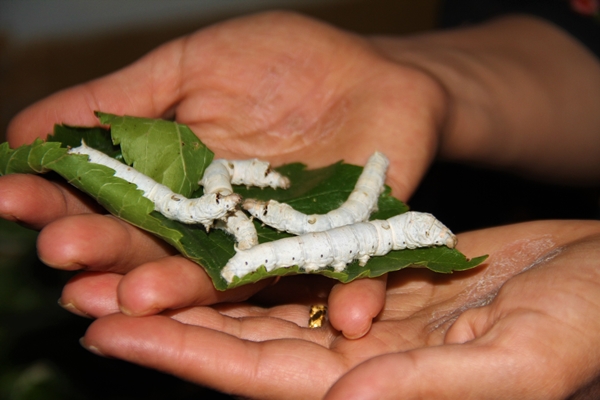 Foto - İki kadın arkadaş sırt sırta verdi... 45 günde 34 bin lira kazanıyorlar