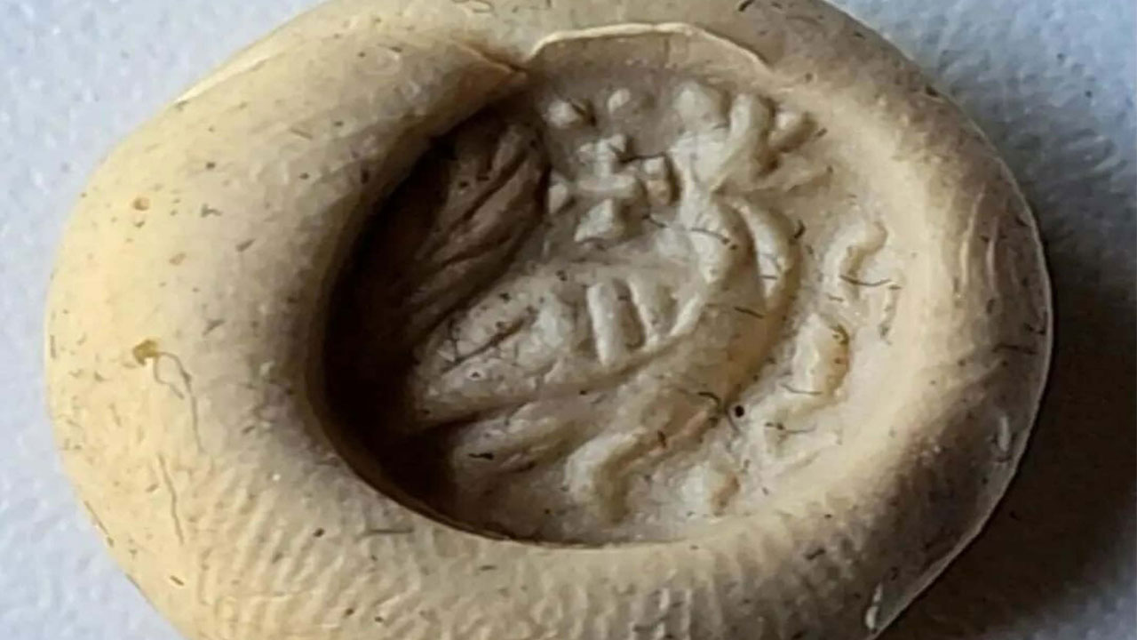 İki kardeşten örnek davranış! Roma Dönemi’ne ait yüzük buldular