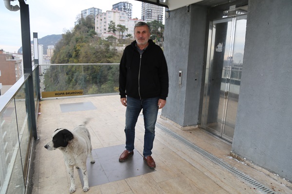 Foto - İki mahalle arasında ulaşım böyle sağlanıyor! Köpekler yürümüyor asansör kullanıyor ama...