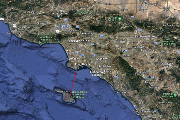 Foto - İki Türk sporcu, California'daki Catalina Kanalı'nı 13 saatte yüzerek geçti