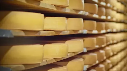 İki ünlü Türk peynir üreticisinden kötü haber! Konkordato talep ettiler