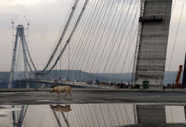 Foto - İki yaka birleşti! İşte görüntüler...