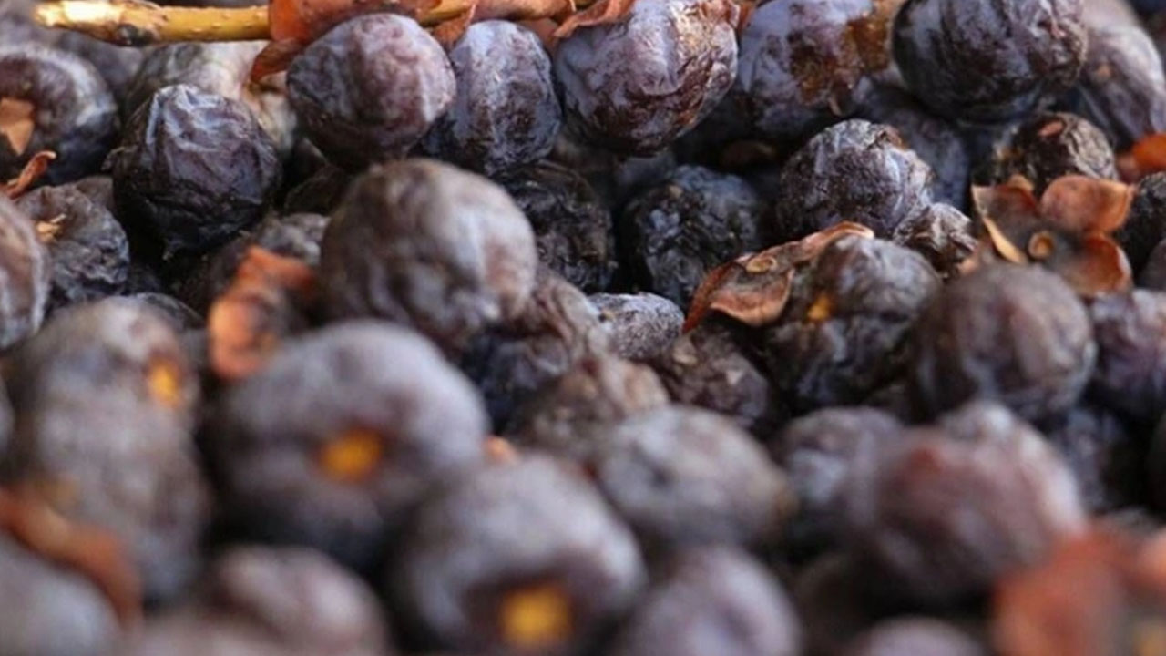 Sivas meyvesini gören sıraya girdi! Tam şifa deposu! 