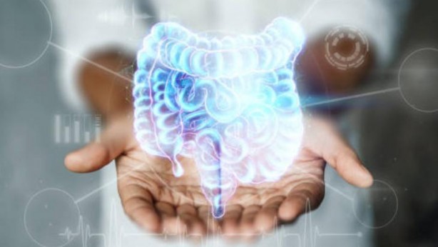 İkinci beyin olur mu demeyin! Vücudun o tarafını mahvediyor Elinizi bile sürmeyin, meğer çok zararlıymış