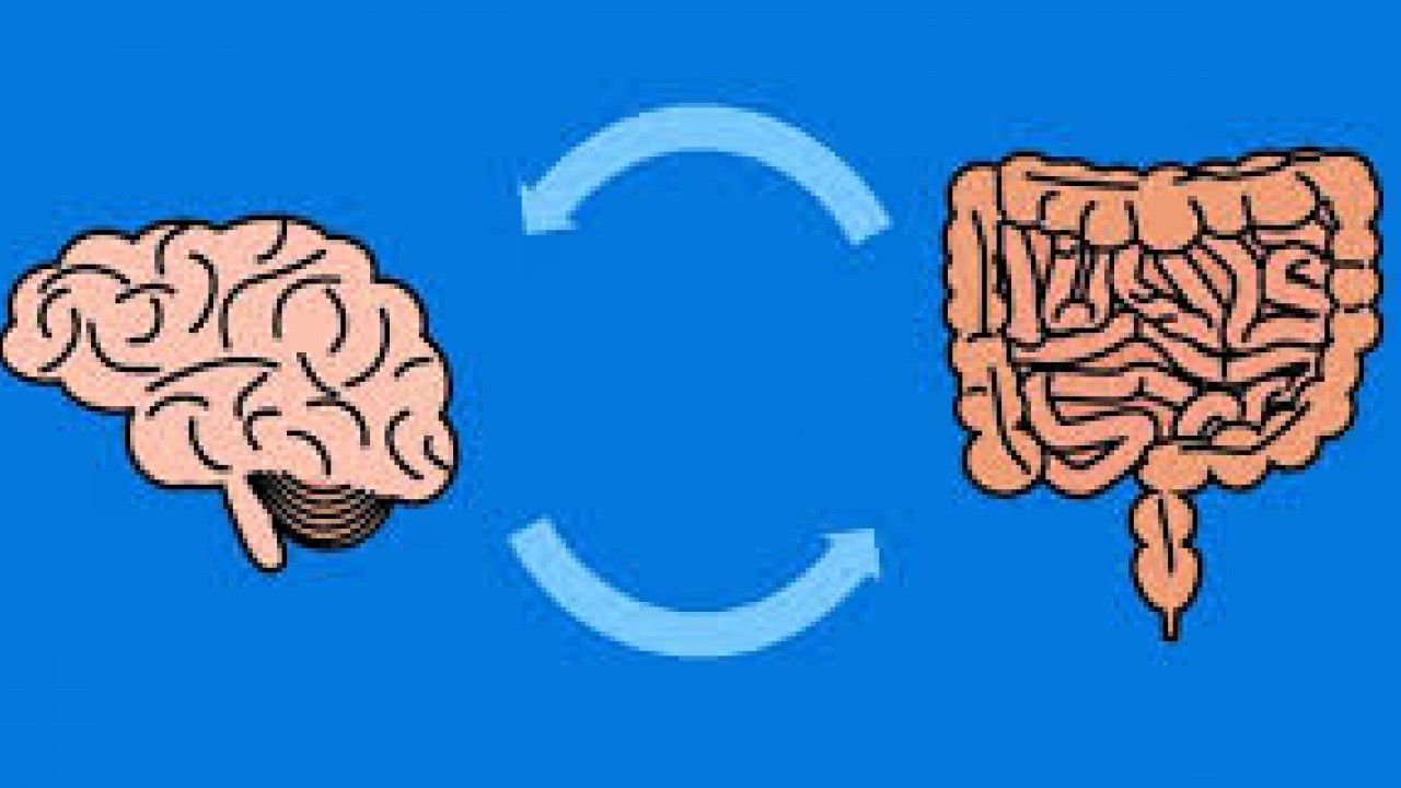 Foto - İkinci beyin bağırsaklar sağlığını hafızanı etkiliyor! Kalp dostu muz: Enerji veren doğal atıştırmalık şaşırtabilir