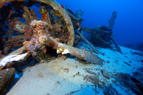 Foto - İkinci Dünya Savaşı’ndan kalma! Kaş açıklarında görüntülendi