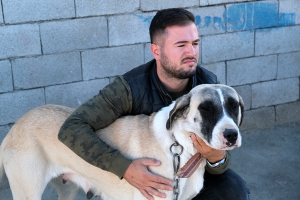 Foto - İkinci el otomobil fiyatına satılıyor! Yurt dışından resmen sıraya giriyorlar