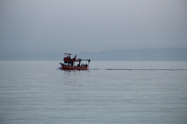 Foto - İklim değişikliği deniz canlılarını böyle etkiledi