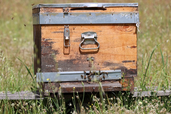 Foto - İklim değişikliği en çok onları etkiledi