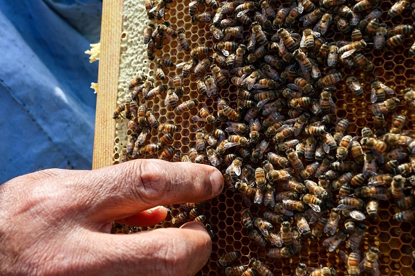 Foto - İklim değişikliği en çok onları etkiledi