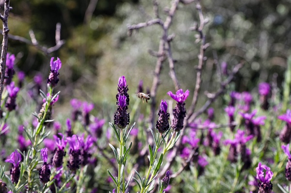 Foto - İklim değişikliği en çok onları etkiledi
