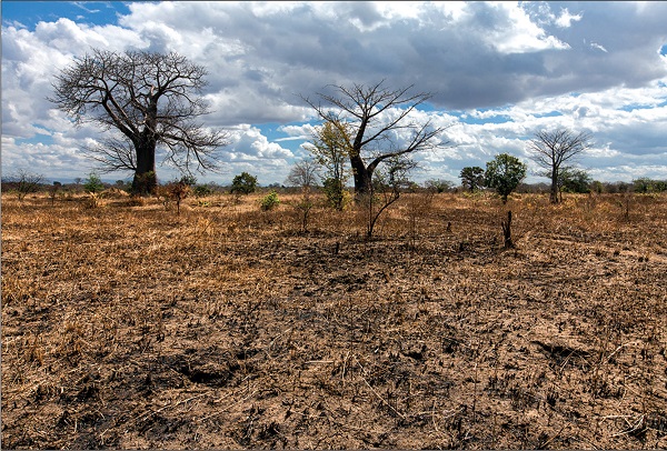 Foto - İklim değişikliği en çok onları etkiledi! Milyonlarca insan evini terk etmek zorunda kaldı