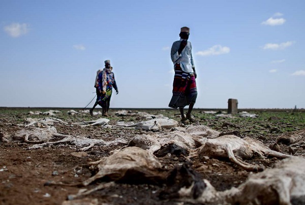 Foto - İklim değişikliği en çok onları etkiledi! Milyonlarca insan evini terk etmek zorunda kaldı