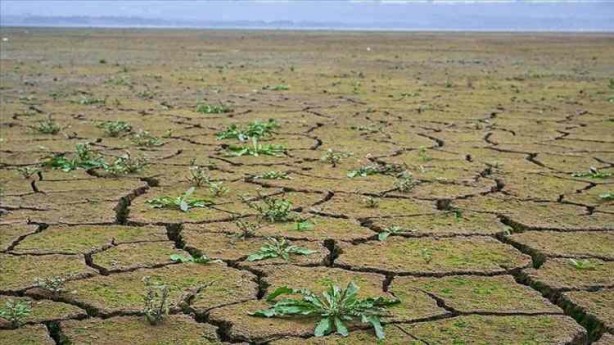 Foto - İklim değişikliği etkilerini arttırdı! Dünyada sıcaklığın haritası