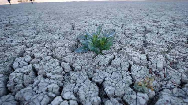 Foto - İklim değişikliği etkilerini arttırdı! Dünyada sıcaklığın haritası