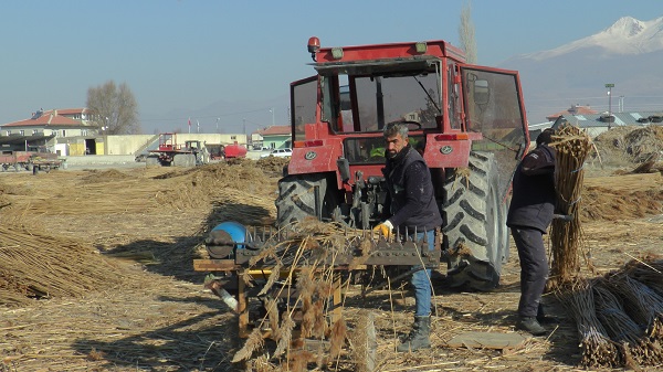 Foto - İklim değişikliği her şeyi etkiledi! Çiftçiler kara kara düşünüyor