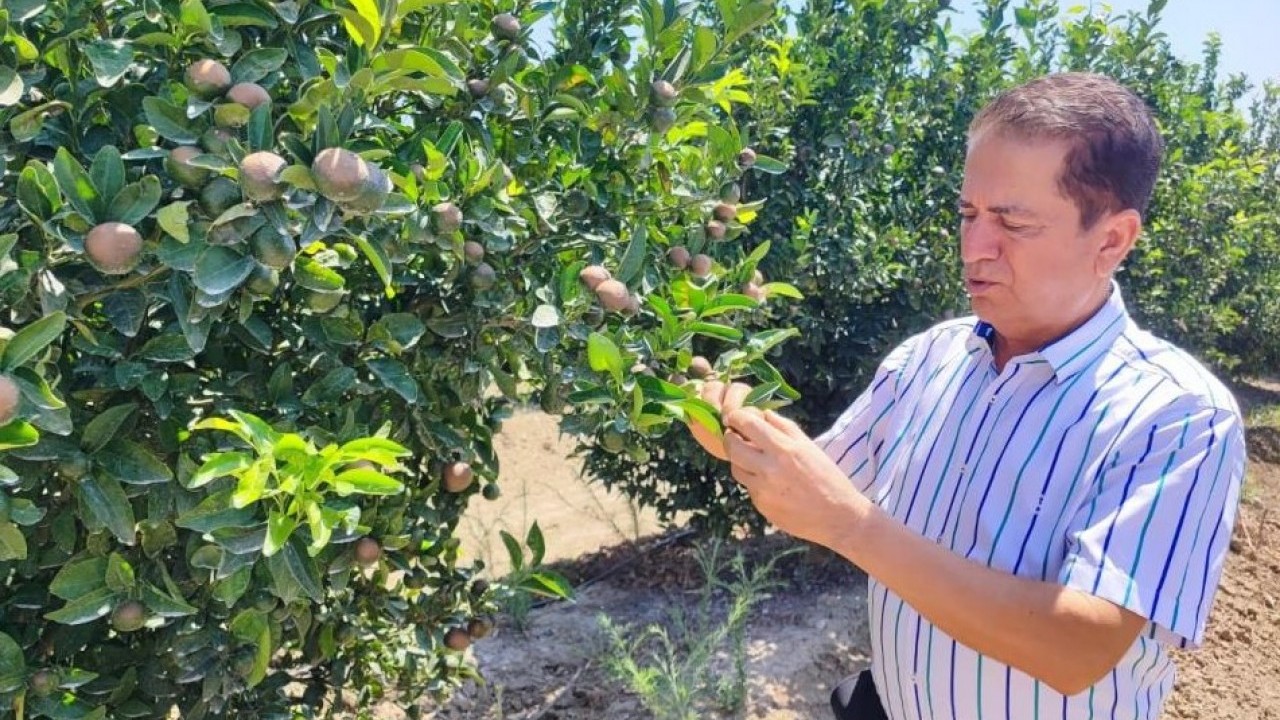 Foto - İklim değişikliği tarımsal faaliyetleri tehdit ediyor! "Böyle bir afet daha önce olmamıştı