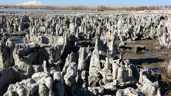 Foto - İklim değişikliği Van Gölü'nü vurdu! Kıyı çekilince gizem ortaya çıktı