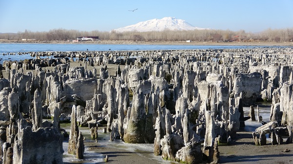 Foto - İklim değişikliği Van Gölü'nü vurdu! Kıyı çekilince gizem ortaya çıktı