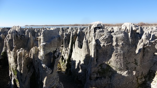 Foto - İklim değişikliği Van Gölü'nü vurdu! Kıyı çekilince gizem ortaya çıktı
