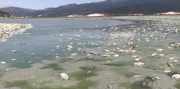 Foto - İklim krizi büyüyor! O gölden geriye birkaç su öbeği kaldı