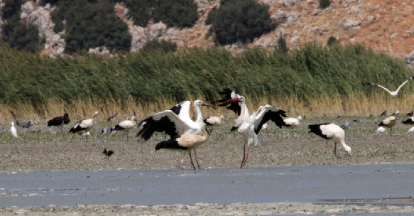 Foto - İklim krizi büyüyor! O gölden geriye birkaç su öbeği kaldı