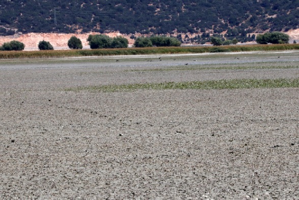 Foto - İklim krizi büyüyor! O gölden geriye birkaç su öbeği kaldı