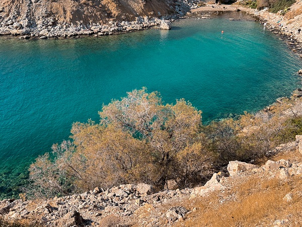 Foto - İklim krizi etkiliyor! Kızıldeniz’den Akdeniz’e tehdit