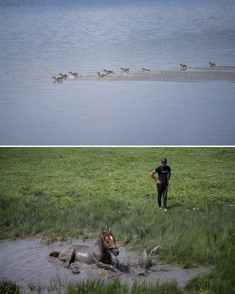 Foto - İklim krizinin en net örneği: Mışko Gölü