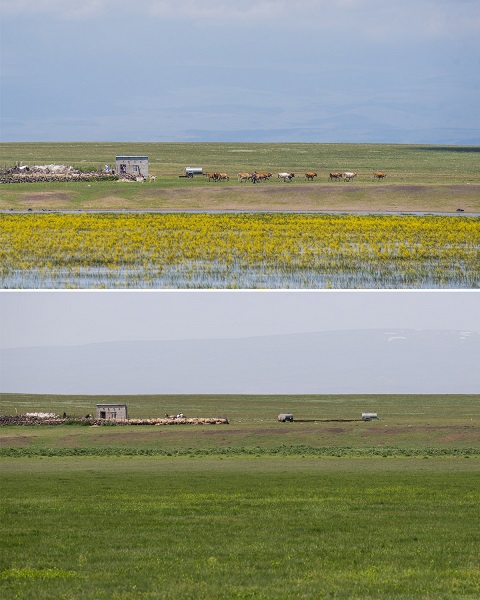 Foto - İklim krizinin en net örneği: Mışko Gölü